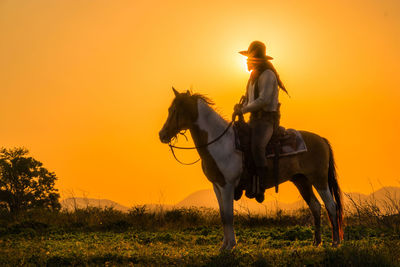 View of horse on field during sunset
