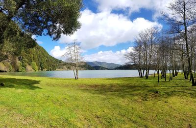 Scenic view of field and trees against sky