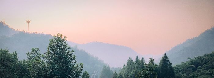 Panoramic view of forest against sky during sunset