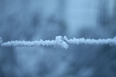 frost