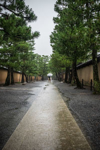 Rear view of man walking on wet road