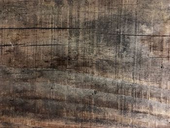 Close-up of abstract pattern on wood