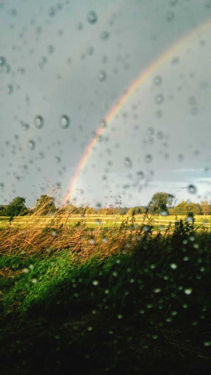 SCENIC VIEW OF RAINBOW OVER LANDSCAPE