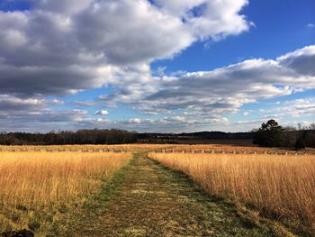 Dirt road passing through field