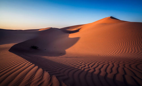 Sand dune in a desert