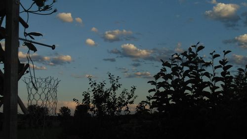 Low angle view of silhouette trees against sky at sunset