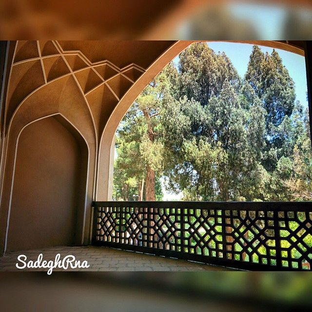 architecture, built structure, tree, building exterior, indoors, railing, window, arch, day, no people, low angle view, metal, sunlight, building, glass - material, sky, gate, architectural column, growth