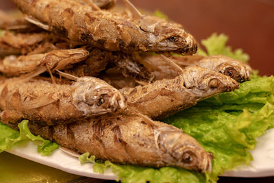 Close-up of fish in plate