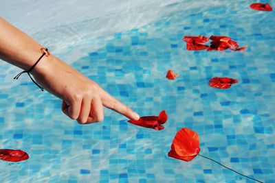 Cropped image of woman touching flowers in swimming pool