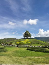 Scenic view of green landscape against sky