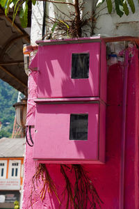 Pink fuse box with a plant growing behind it.