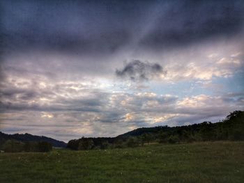 Scenic view of field against sky