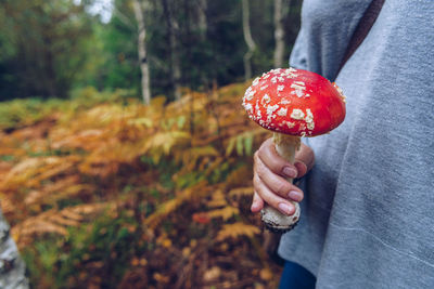 Close-up of hand holding mushroom in forest