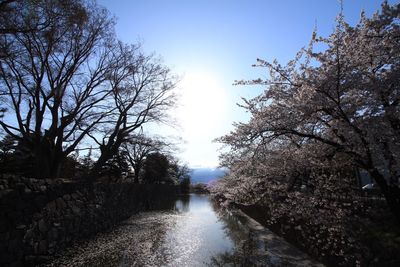 Scenic view of river with trees in background