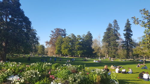 Group of people in park against clear sky