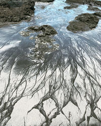 High angle view of beach