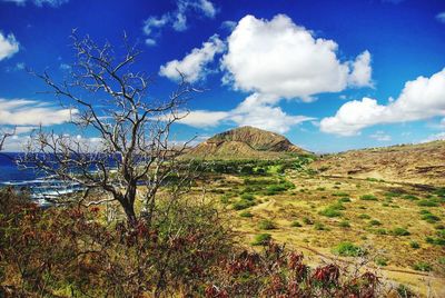 View of landscape against cloudy sky