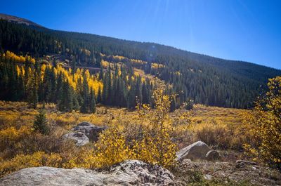 Scenic view of landscape against clear sky