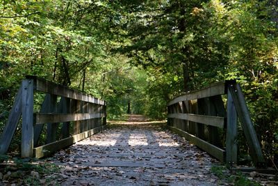 Footbridge amidst trees in forest