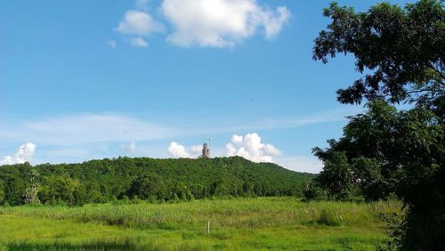 Scenic view of agricultural field against sky