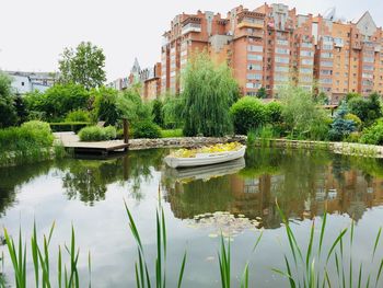 Scenic view of lake by trees and plants