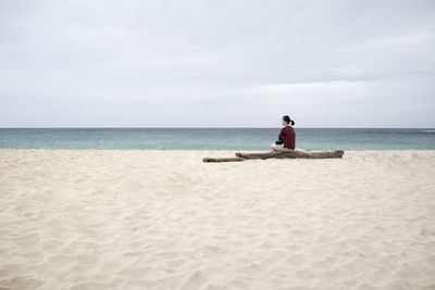 Rear view of woman sitting on driftwood at beach