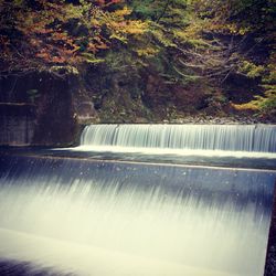 Blurred motion of waterfall by trees in forest