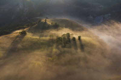 Mountain landscape with morning fog, at the forest edge, in apuseni mountains, romania