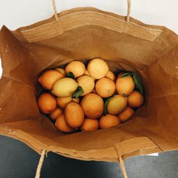 Close-up of eggs in container