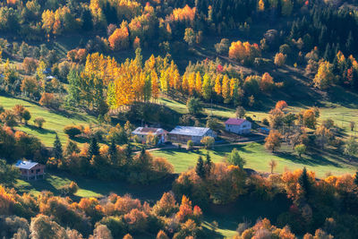 High angle view of trees and houses during autumn