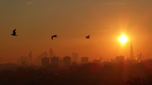 Silhouette birds flying against sky during sunset