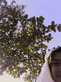 Low angle view of tree against sky