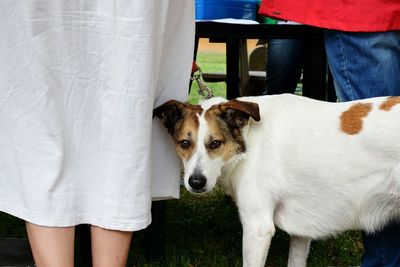 Midsection of people standing by dog