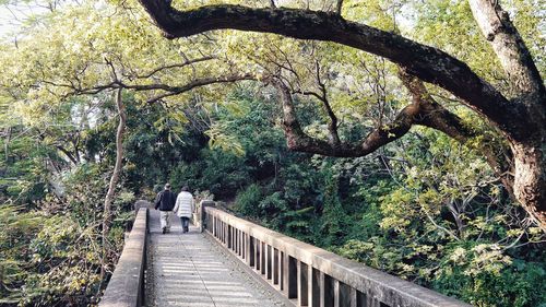 View of footbridge in park