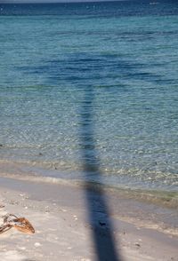 Scenic view of beach