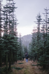 Man and woman walking in forest against sky