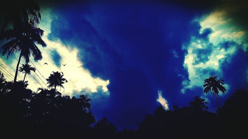 Low angle view of silhouette trees against sky at night