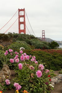 View of golden gate bridge against cloudy sky