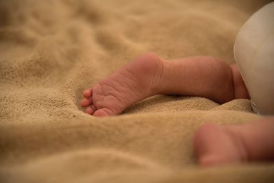 Low section of baby feet