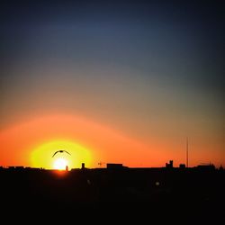 Silhouette of trees at sunset