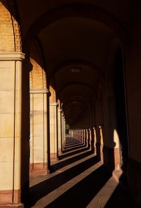 Corridor of building