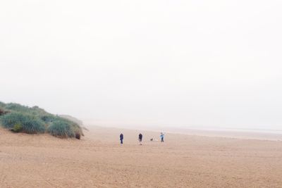 People on beach against clear sky