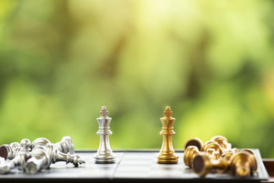 Close-up of kings on chess board by fallen pieces against plants