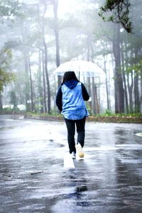 Rear view of woman with umbrella walking on road