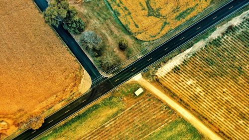 High angle view of road along trees