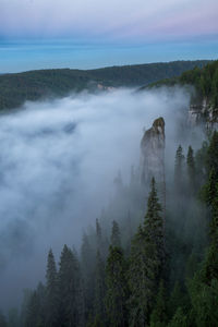 Scenic view of forest against sky