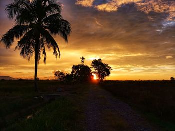 Scenic view of palm trees on field against sky at sunset