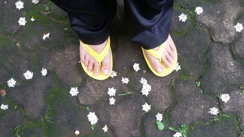 Low section of woman standing on ground