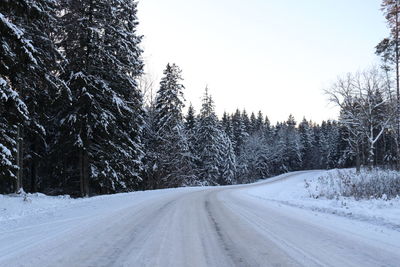 Road amidst snow covered trees against sky