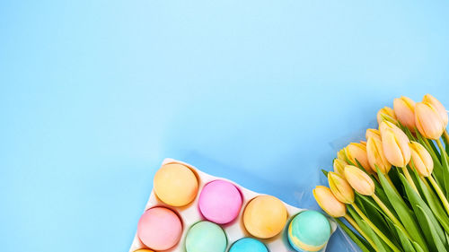 Directly above shot of multi colored candies against blue background